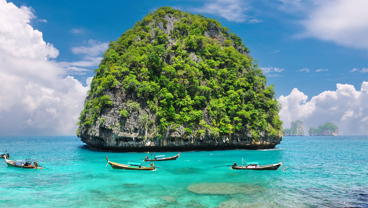 Polygon Transaction Explorer: Track Any TX Instantly