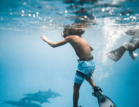 Polygon blockchain network