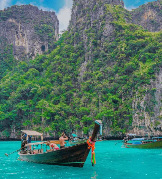 Polygon Transaction Status