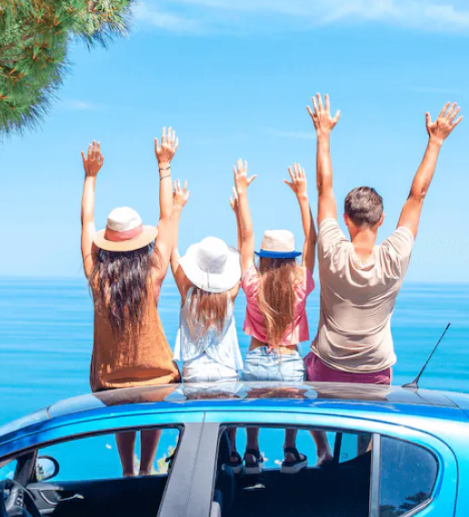 Polygon Transaction History